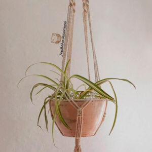 Macetero de macramé aloe.